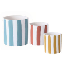 Cargar imagen en el visor de la galería, 987105DF6CCE698CBCC71D79F24DF5EB/04f99bb2-7e90-4dfe-8af5-c41c60698062.jpg