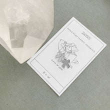 Load image into Gallery viewer, Magic Charm Bow Hoops