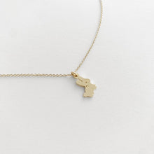 Load image into Gallery viewer, Magic Charm Bunny Necklace