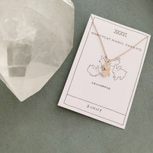 Load image into Gallery viewer, Magic Charm Bunny Necklace