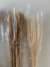 Cargar imagen en el visor de la galería, E294A20917C74A2027E13522192912B6/22212245_35154629-bc73-4f6d-bf05-8f20ae27c25a.jpg