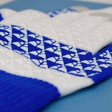 Cargar imagen en el visor de la galería, ZPB Blue White Touch and Grip Knit Winter Gloves