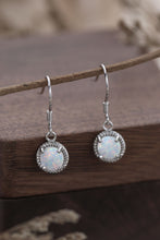 Load image into Gallery viewer, Join The Fun Opal Earrings