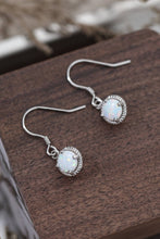 Load image into Gallery viewer, Join The Fun Opal Earrings