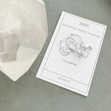 Load image into Gallery viewer, Magic Charm Bunny Hoops
