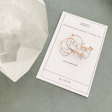 Load image into Gallery viewer, Magic Charm Bunny Hoops
