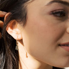 Load image into Gallery viewer, Magic Charm Bunny Hoops
