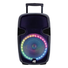 Cargar imagen en el visor de la galería, Naxa Portable 15 Inch BT Speaker w Color Light
