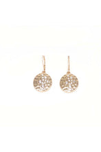 Cargar imagen en el visor de la galería, CHIC CIRCLE EARRING
