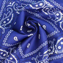 Cargar imagen en el visor de la galería, ZPB Blue and White Bandana Bling Fringe Necklace
