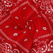 Load image into Gallery viewer, DST Red and White Bandana Bling Fringe Necklace

