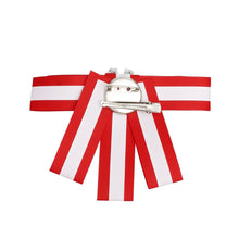 Load image into Gallery viewer, DST Sorority Red White Bow Tie Style Brooch
