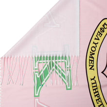 Load image into Gallery viewer, AKA Sorority Pale Pink Green Fashion Shawl Scarf

