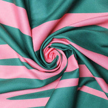 Load image into Gallery viewer, AKA Sorority Zebra Stripe Fashion Shawl Scarf
