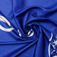 Load image into Gallery viewer, ZPB Sorority Blue Shield Fashion Shawl Scarf
