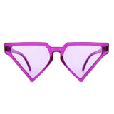 Sunglasses Purple Triangle Pointed for Women