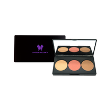 Load image into Gallery viewer, Pro Cheek Palette - Pink Apple
