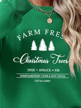 Load image into Gallery viewer, Graphic Round Neck Dropped Shoulder Sweatshirt
