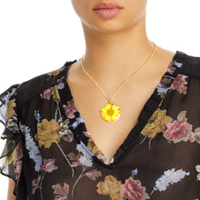 Load image into Gallery viewer, Yellow Daisy Dried Flower Necklace
